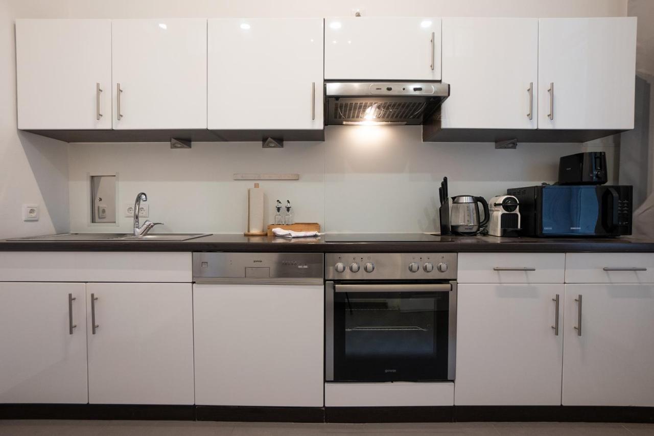 Spacious 110м2 Flat In The Center Appartement Vienne